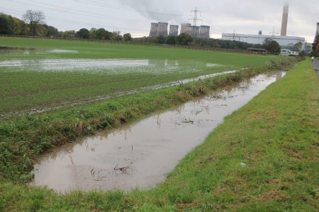 44 Long Drax Dyke Nov19